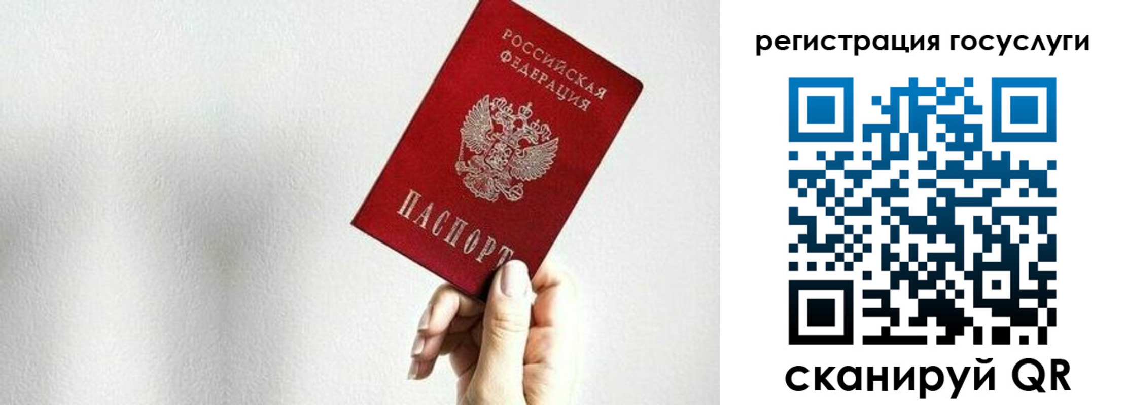 прописка гарантия в Курчатове